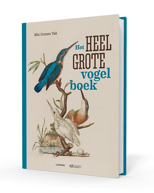 Het heel grote vogelboek